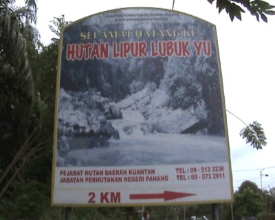 lubuk yu